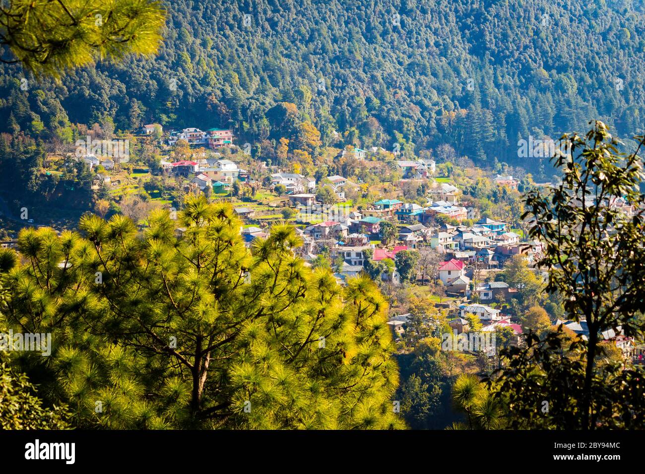 Grüne natürliche Schönheit mit klarem blauen Himmel über Bir und Billing, Himachal Pradesh, Indien, Asien. Bir Billing ist berühmt für Paragliding und Trekking Mountain Stockfoto