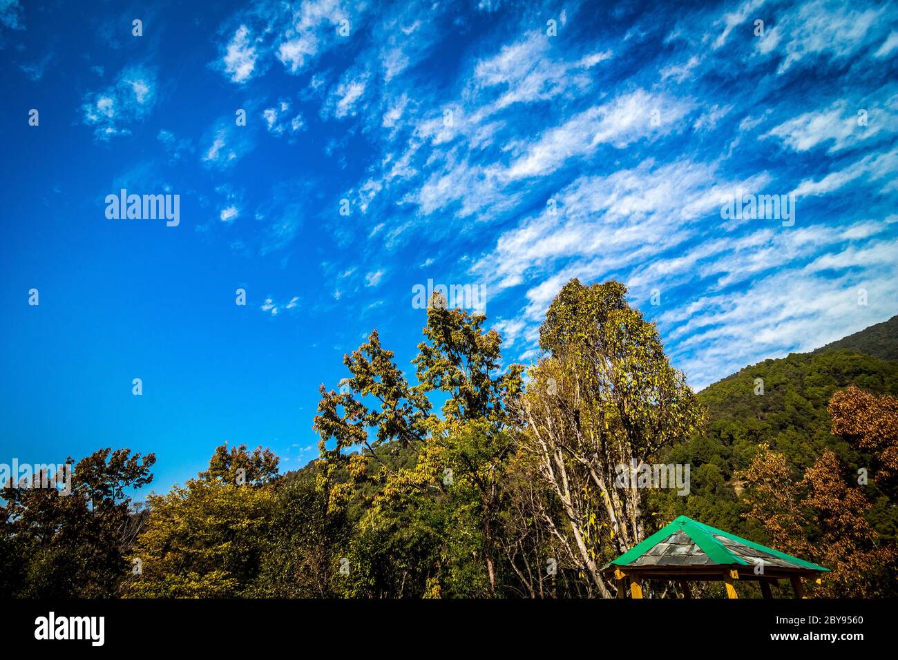 Grüne natürliche Schönheit mit klarem blauen Himmel von Bir und Billing, Himachal Pradesh, Indien, Asien. Bir Billing ist berühmt für Paragliding und Trekking. Stockfoto
