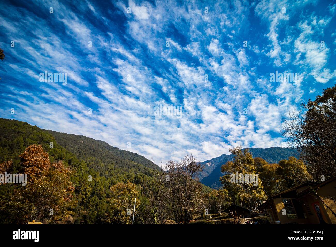 Grüne natürliche Schönheit mit klarem blauen Himmel von Bir und Billing, Himachal Pradesh, Indien, Asien. Bir Billing ist berühmt für Paragliding und Trekking. Stockfoto