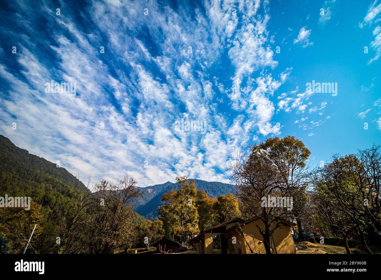 Grüne natürliche Schönheit mit klarem blauen Himmel von Bir und Billing, Himachal Pradesh, Indien, Asien. Bir Billing ist berühmt für Paragliding und Trekking. Stockfoto