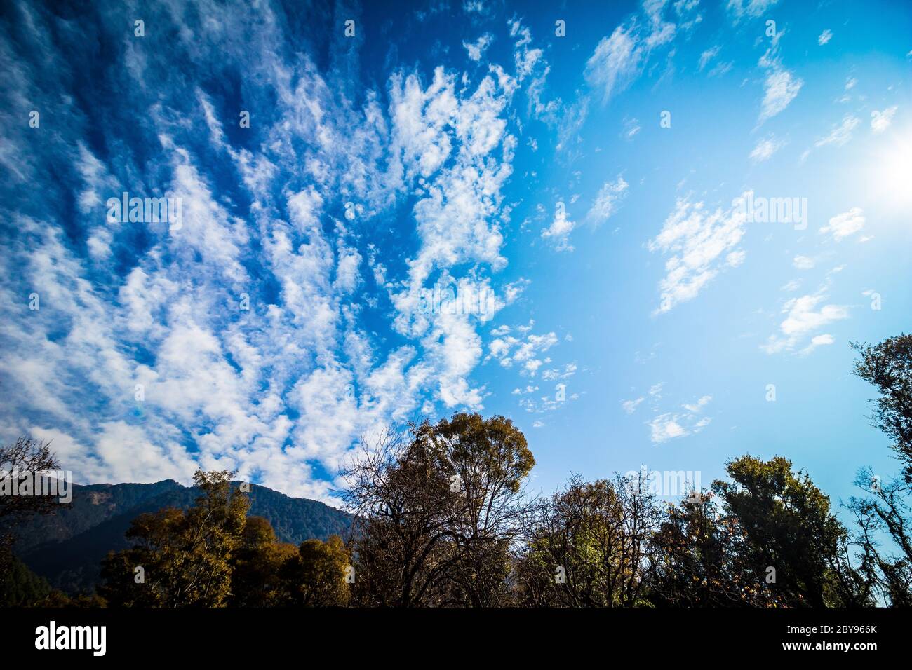 Grüne natürliche Schönheit mit klarem blauen Himmel von Bir und Billing, Himachal Pradesh, Indien, Asien. Bir Billing ist berühmt für Paragliding und Trekking. Stockfoto