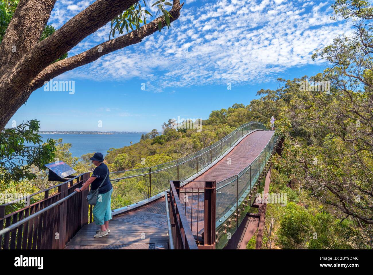 Lotterywest Federation Walkway (Glass Bridge), King's Park Botanic Garden, Perth, Western Australia, Australien Stockfoto