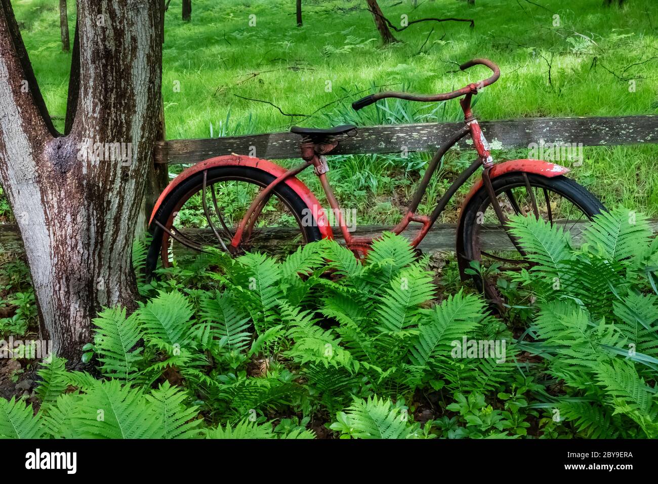 Vintage Mädchen Roadmaster Fahrrad von der Cleveland Welding Company, jetzt  eine Gartendekoration in Canadian Lakes in Zentral Michigan, USA  Stockfotografie - Alamy