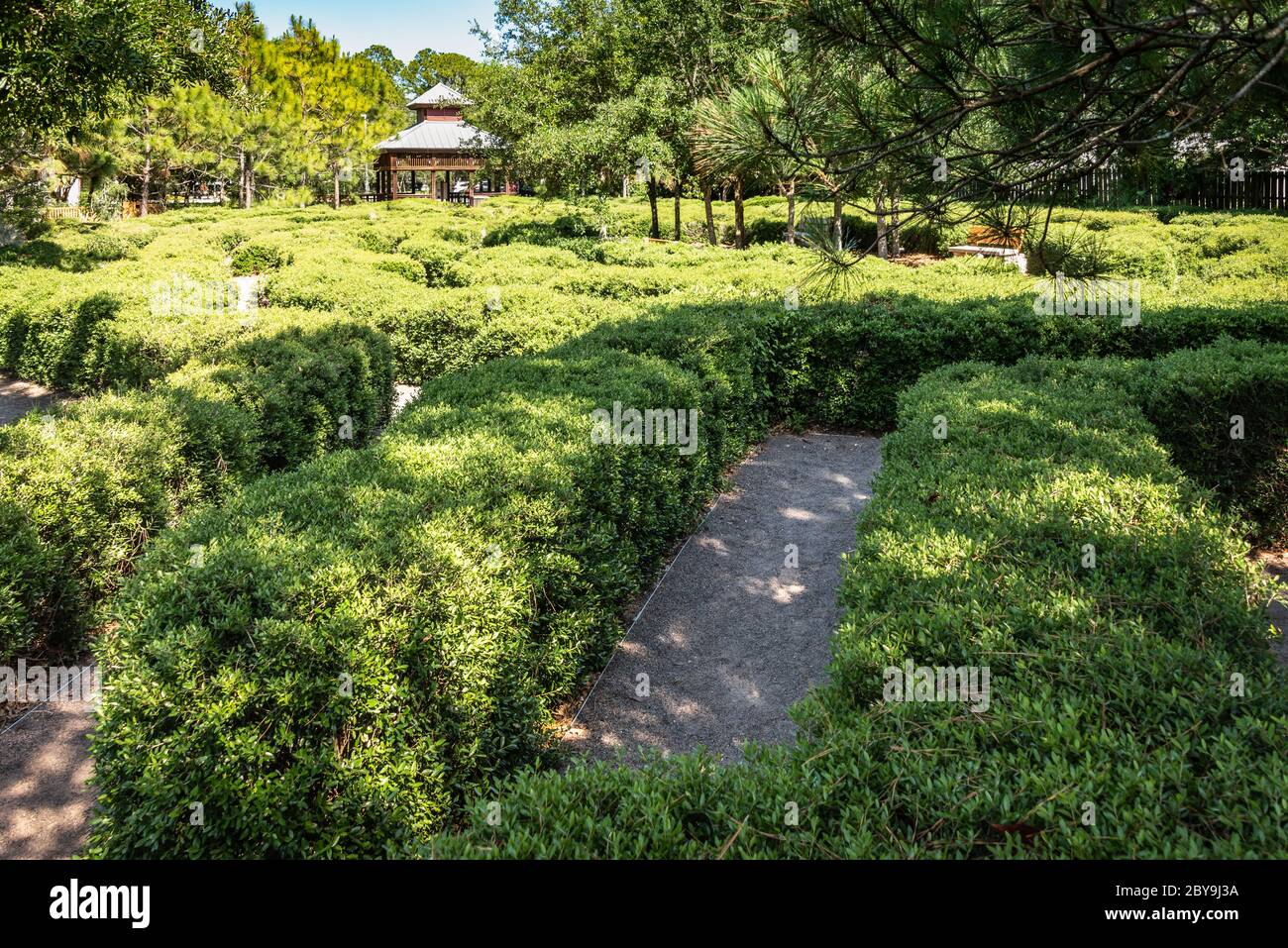 Ein abgehautes, Meeresschildkröten-förmiges Labyrinth im Bird Island Park in Ponte Vedra Beach, Florida. (USA) Stockfoto