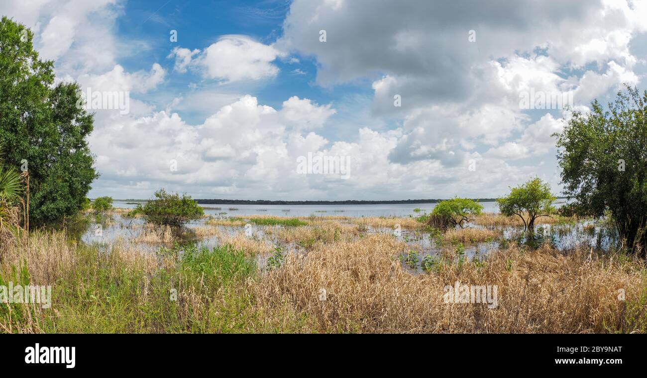 Oberer Myakker See im Myakka River State Park in Sarasota Florida in den Vereinigten Staaten Stockfoto