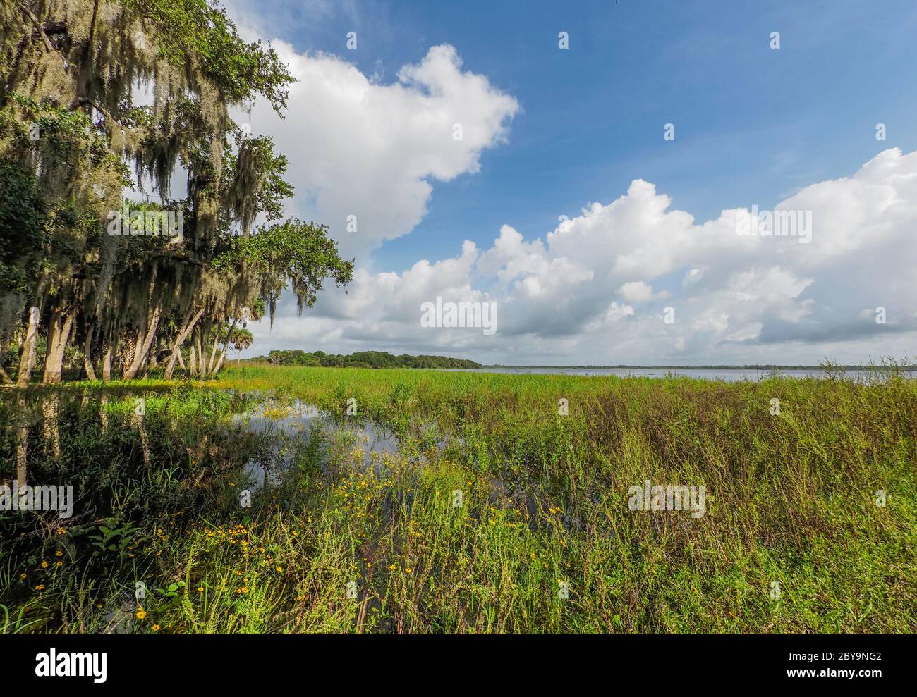 Oberer Myakker See im Myakka River State Park in Sarasota Florida in den Vereinigten Staaten Stockfoto