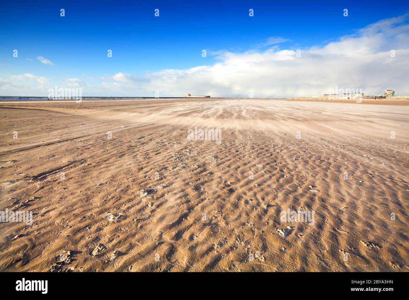 Windiger Strand an der Nordsee Stockfoto