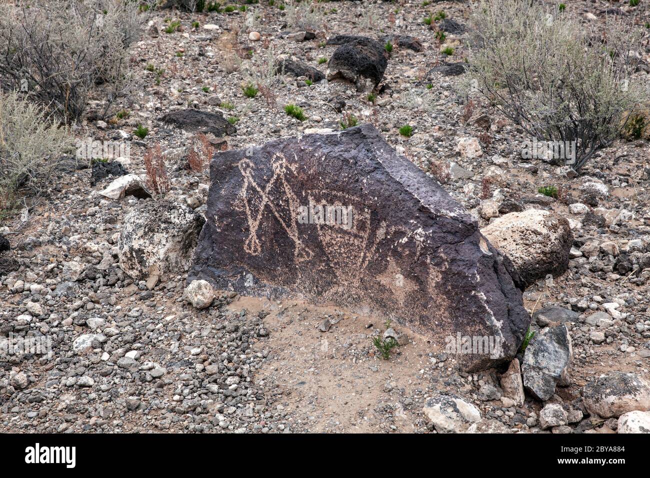 NM00641-00...NEW MEXICO - Felszeichnungen im Rio Grande Stil, auch der Mesa Trail, Boca Negra Canyon, Petroglyph National Monument. Stockfoto