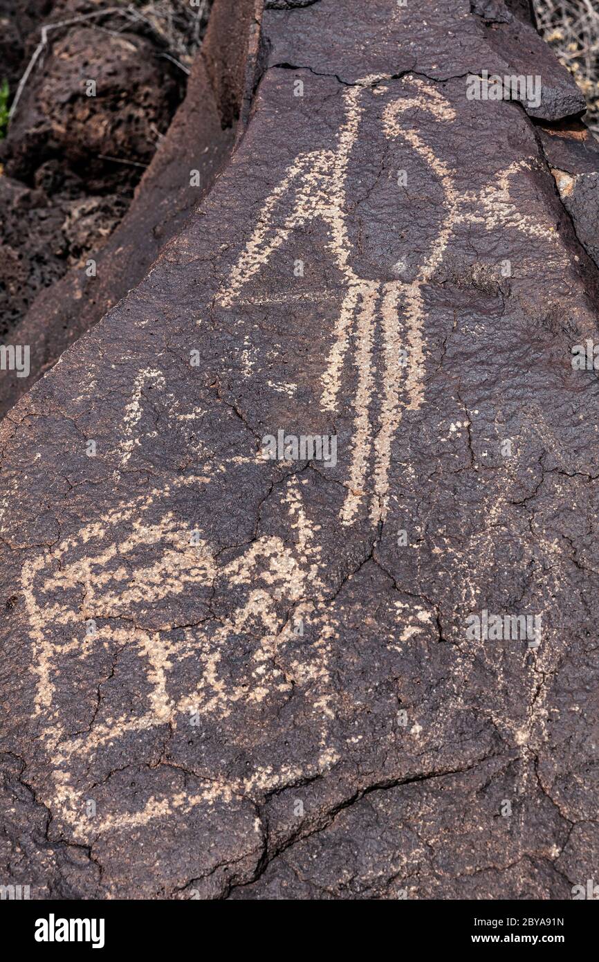 NM00644-00...NEW MEXICO - Felszeichnungen im Stil des Rio Grande im Boca Negra Canyon, Petroglyph National Monument. Stockfoto