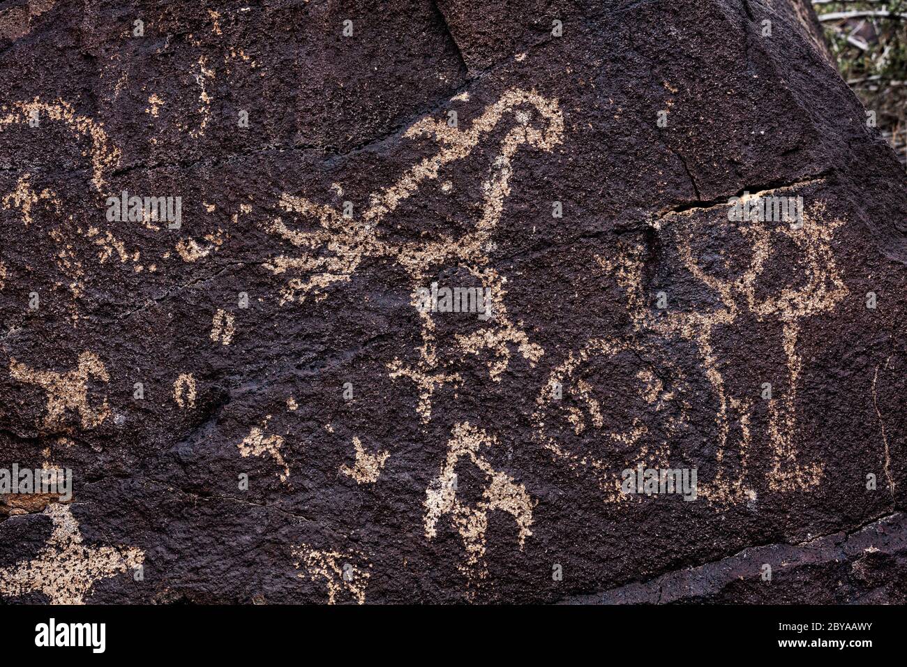 NM00652-00...NEW MEXICO - Petroglyphen in Piedras Marcadas Canyon, Petroglyph National Monument. Stockfoto