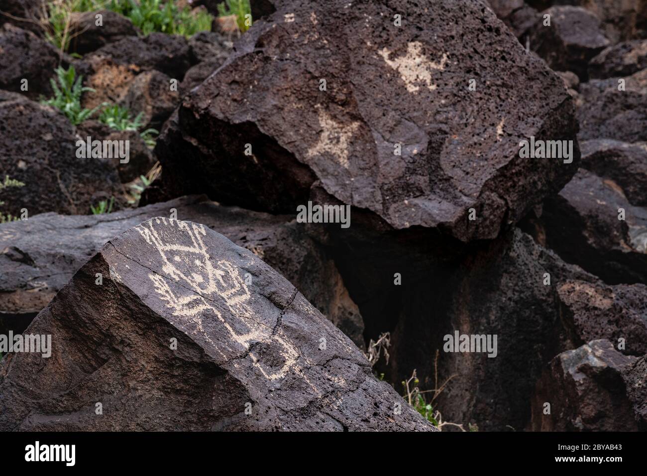 NM00653-00...NEW MEXICO - Petroglyphen in Piedras Marcadas Canyon, Petroglyph National Monument. Stockfoto