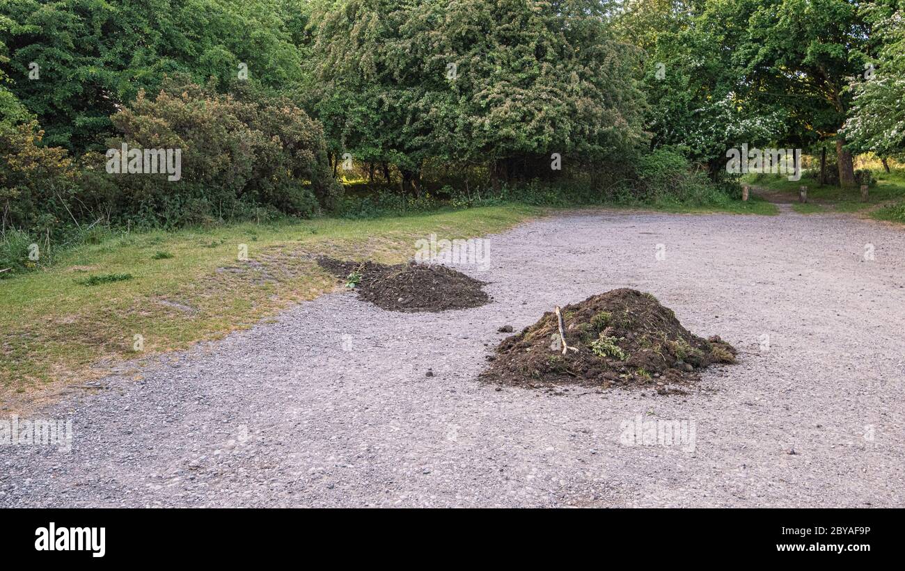Zwei Erdhaufen werden auf einem Parkplatz in einem Naturschutzgebiet Parkplatz von Fliegenkippern gekippt Stockfoto