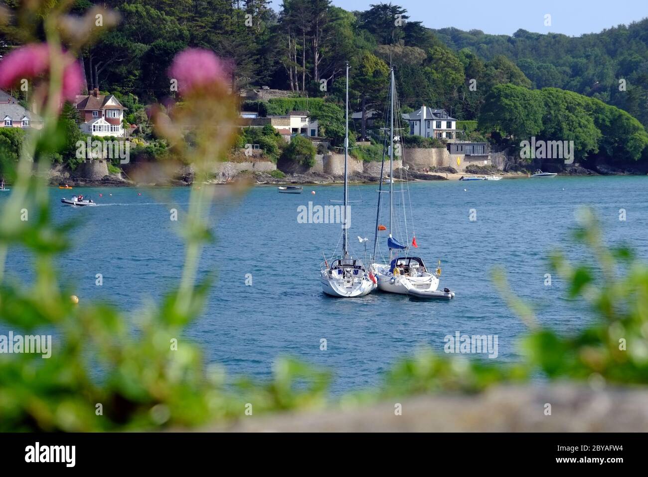 Segelboote in Salcombe Estuary, Blick nach East Portlemouth, Devon, England, Großbritannien Stockfoto