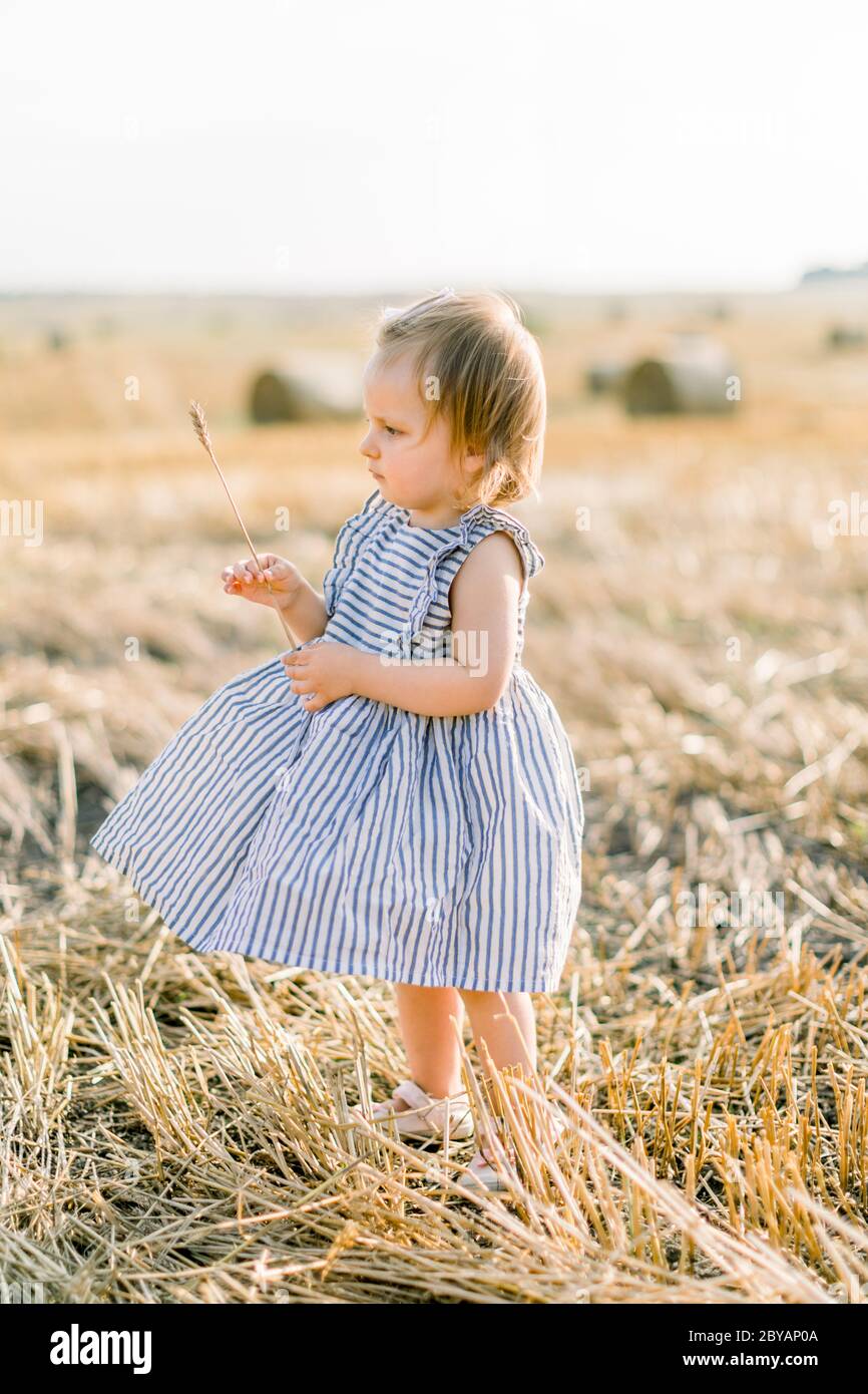 In voller Länge Porträt von glücklichen Kind niedlichen Baby-Mädchen in gestreiftem Kleid, zu Fuß in einem Sommerfeld von Weizen, hält eine Spitze. Kleines Mädchen genießt Stockfoto