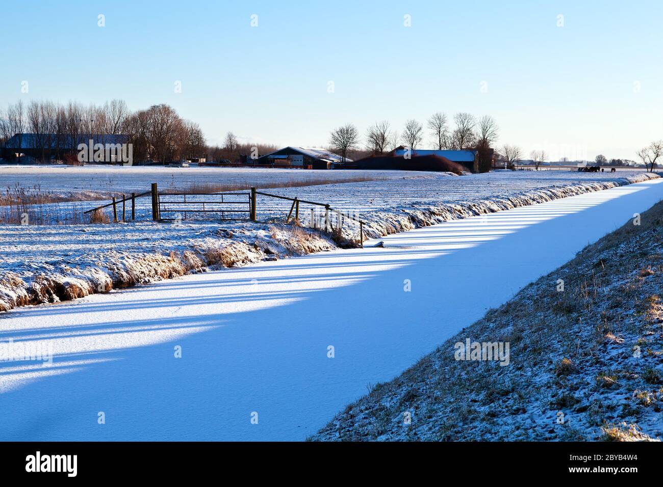 Baumschatten auf Feldern im Winter Stockfoto