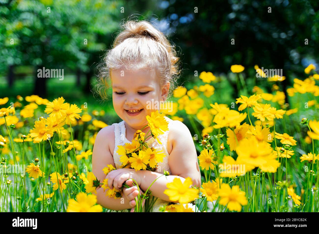 Ein kleines weißhaariges Mädchen in gelben Blüten Stockfoto