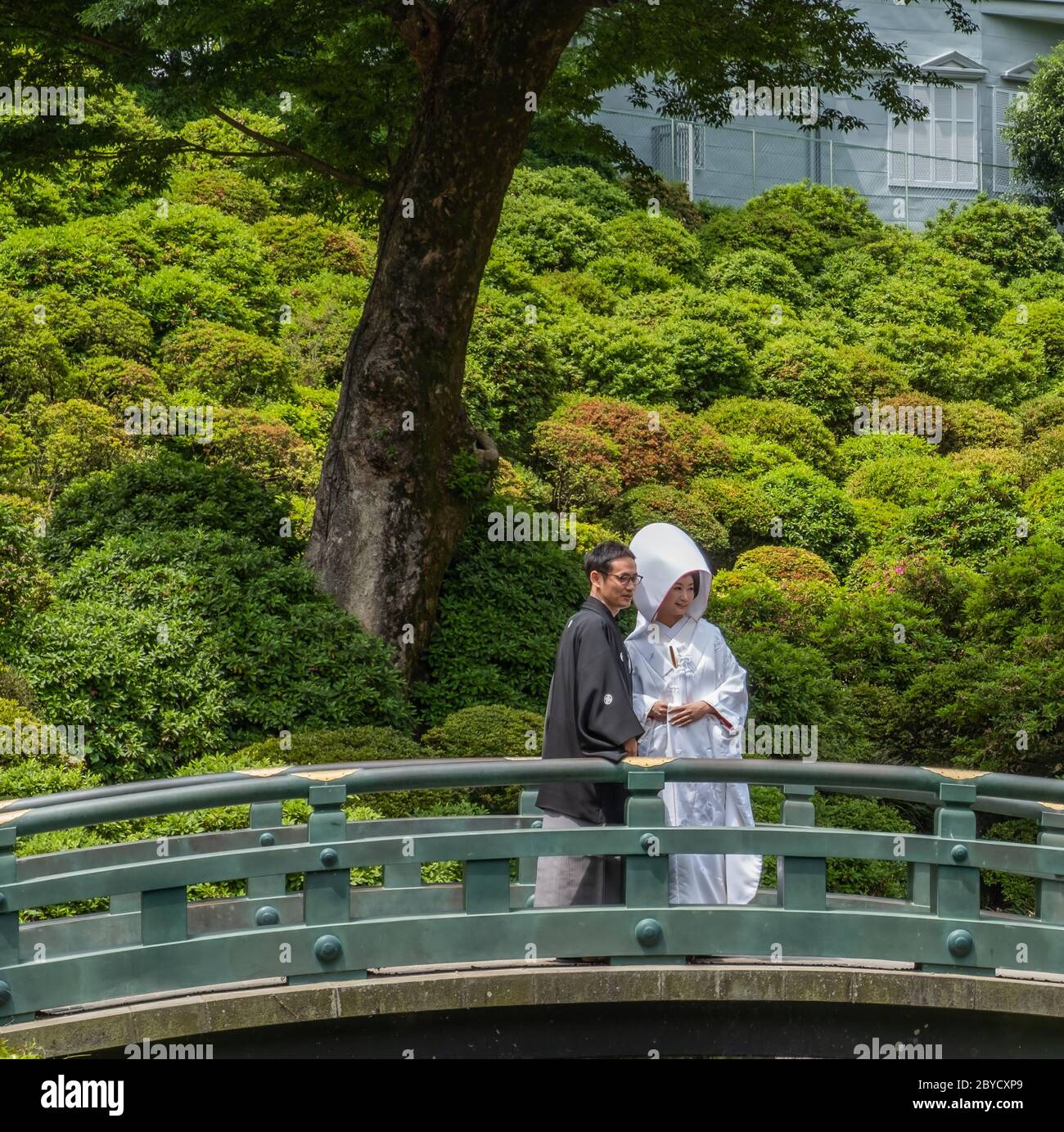 Japanische Hochzeit Paar Heirat nach den Shinto-Ritualen, in Nezu Jinja-Schrein, Tokio, Japan Stockfoto