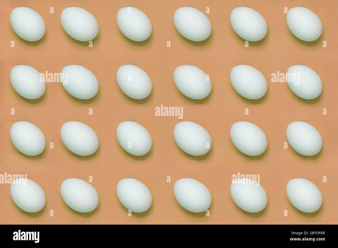 Weiße Eier auf einfarbigem Hintergrund angeordnet Stockfoto