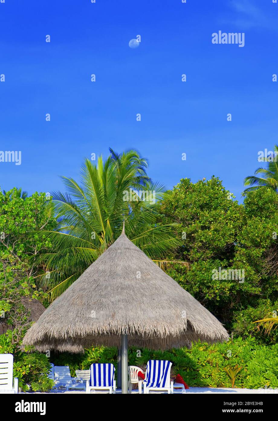 Sonnenschirm und Liegestühlen , Malediven. Stockfoto