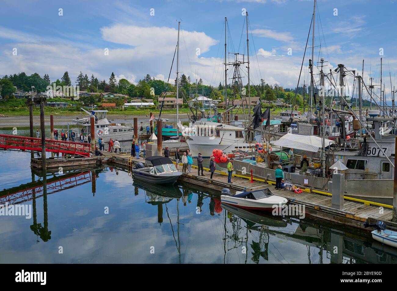 Leute Schlange für Heilbutt, Comox Marina, Comox, Comox Valley, Vancouver Island, B.C Kanada Stockfoto
