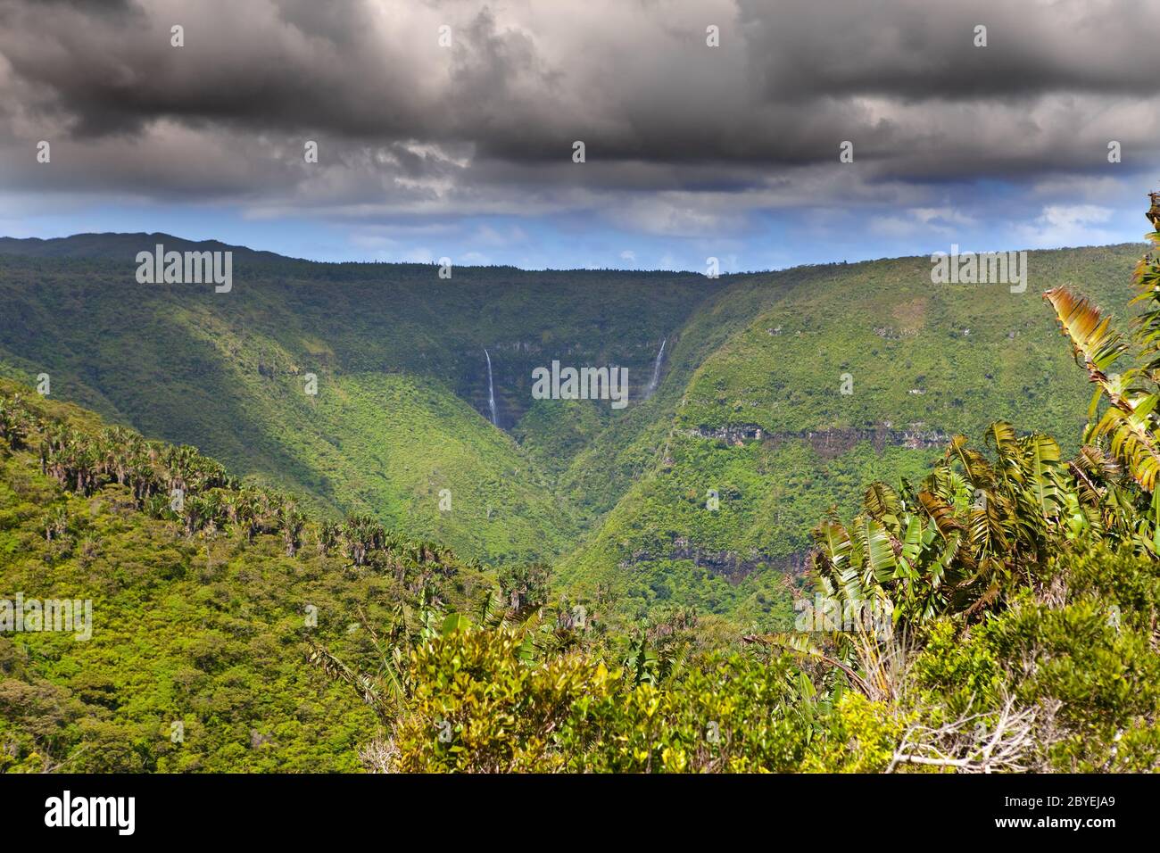 Park-Black River Gorge. Mauritius Stockfoto