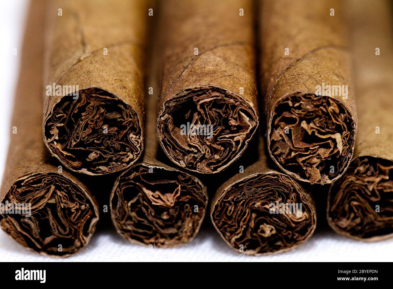 Die kleine Zigarren zusammengestellt. geringe Tiefe der Schärfe Stockfoto