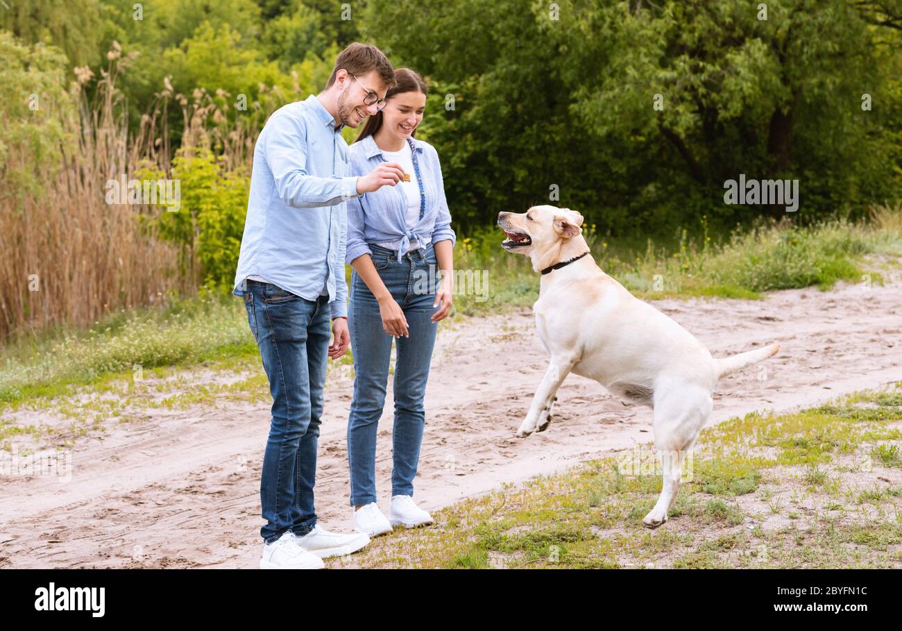 Junges Paar, das ihren gehorsamen Hund verwöhnt Stockfoto