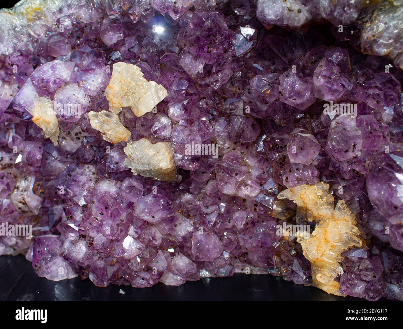 Diese Amethyst Druse mit einer schönen Reflexion in einer unglaublichen violette aus brasilien. Stockfoto