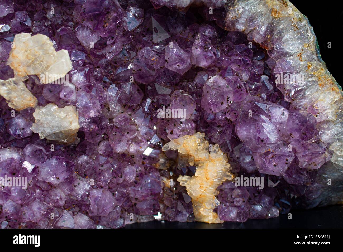 Diese Amethyst Druse mit einer schönen Reflexion in einer unglaublichen violette aus brasilien. Stockfoto
