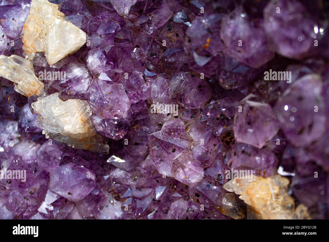 Diese Amethyst Druse mit einer schönen Reflexion in einer unglaublichen violette aus brasilien. Stockfoto