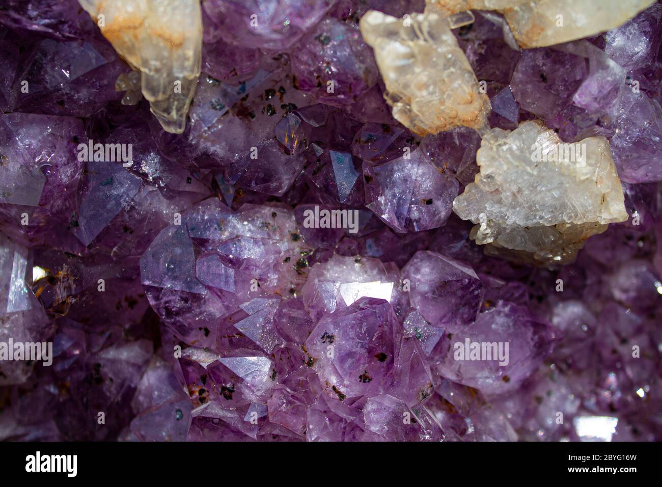 Diese Amethyst Druse mit einer schönen Reflexion in einer unglaublichen violette aus brasilien. Stockfoto