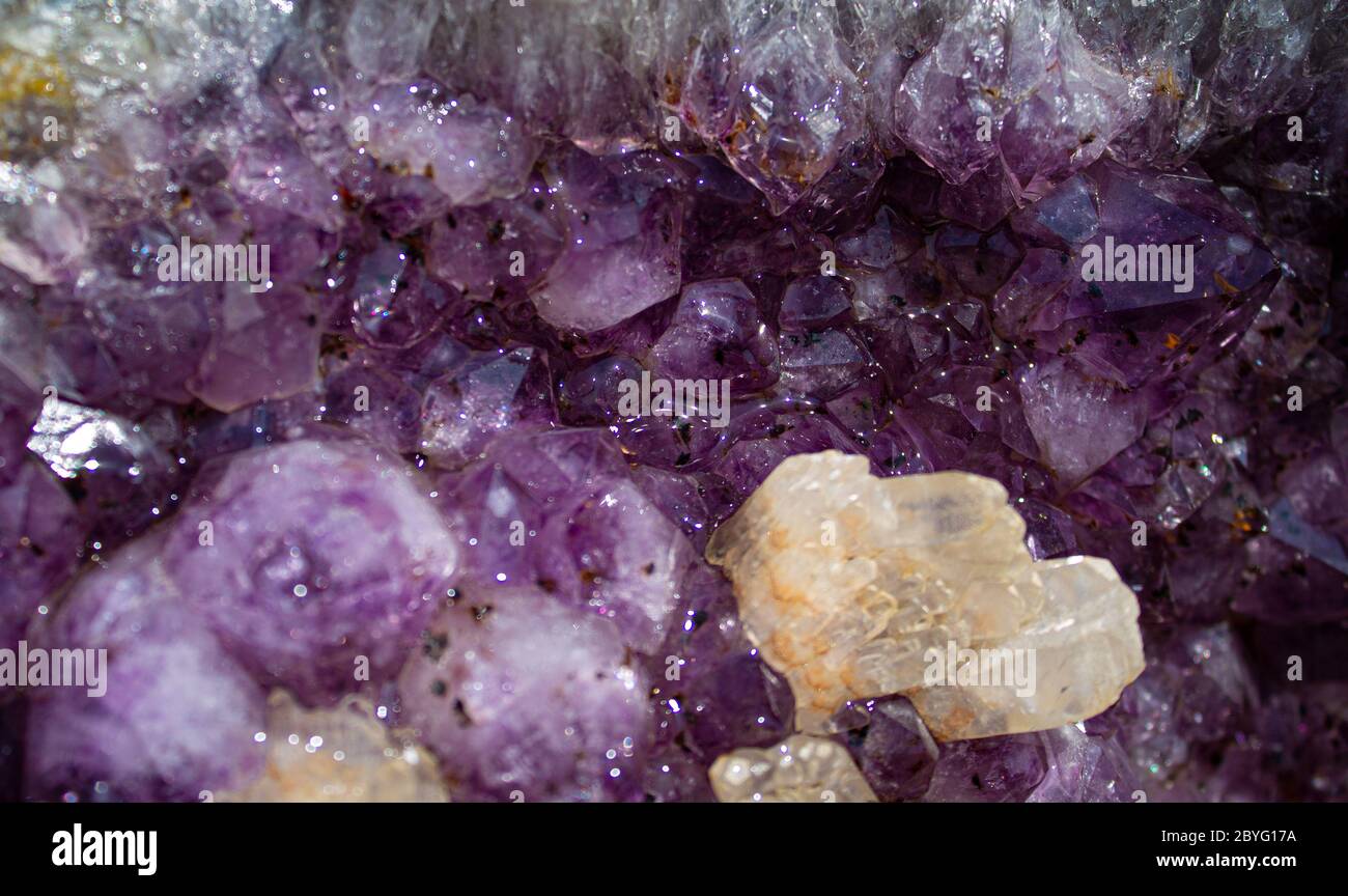 Diese Amethyst Druse mit einer schönen Reflexion in einer unglaublichen violette aus brasilien. Stockfoto