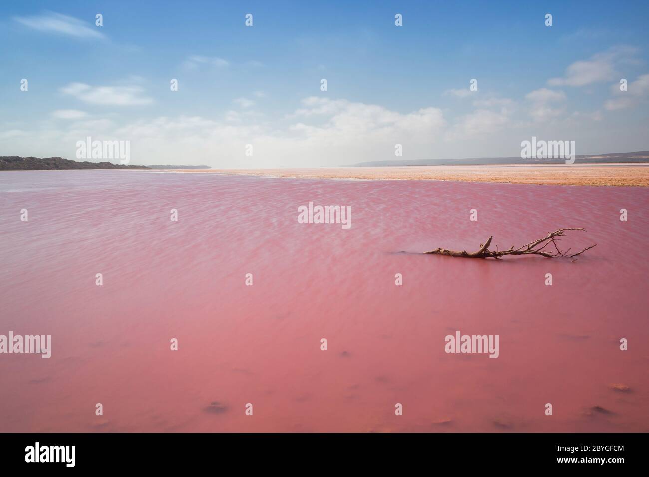 Die erstaunliche und magische rosa Farbe in Hutt Lagoon, in der Nähe von Port Gregoru und Kalbarri, in einer Reise in westaustralien Stockfoto