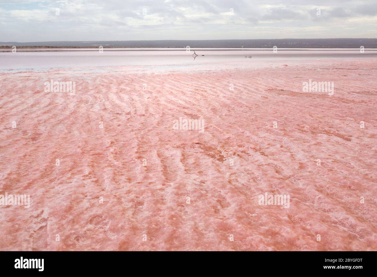 Die erstaunliche und magische rosa Farbe in Hutt Lagoon, in der Nähe von Port Gregoru und Kalbarri, in einer Reise in westaustralien Stockfoto