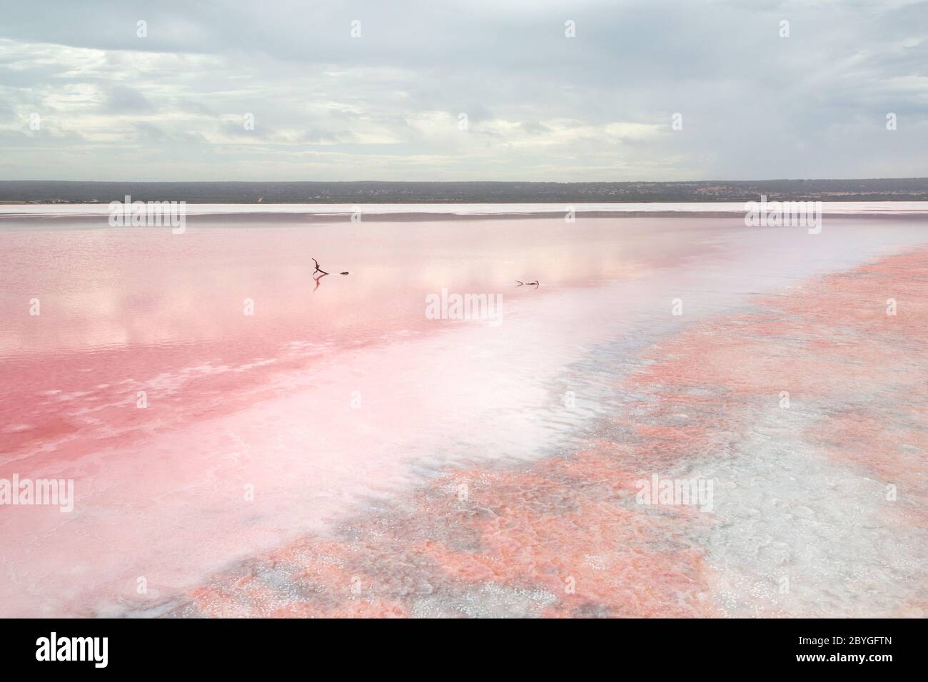 Die erstaunliche und magische rosa Farbe in Hutt Lagoon, in der Nähe von Port Gregoru und Kalbarri, in einer Reise in westaustralien Stockfoto