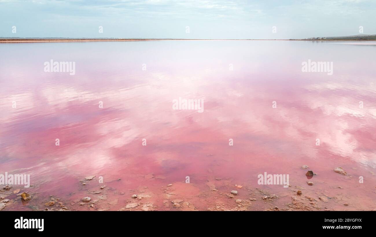 Die erstaunliche und magische rosa Farbe in Hutt Lagoon, in der Nähe von Port Gregoru und Kalbarri, in einer Reise in westaustralien Stockfoto
