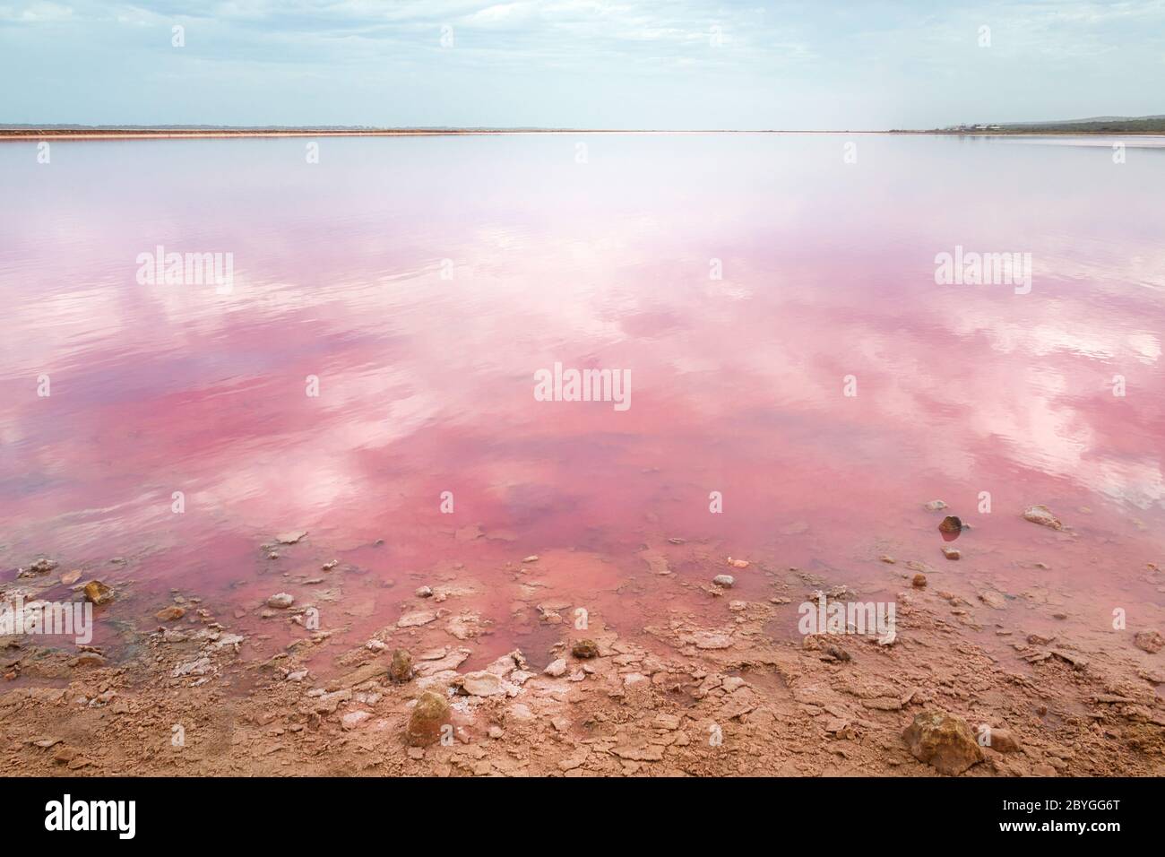 Die erstaunliche und magische rosa Farbe in Hutt Lagoon, in der Nähe von Port Gregoru und Kalbarri, in einer Reise in westaustralien Stockfoto