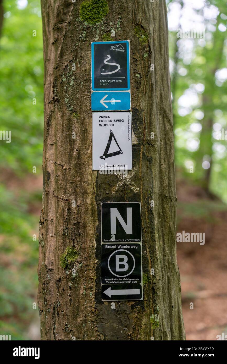 Wanderzeichen im Wald entlang der Wupper, bei Solingen, Bergisches Land, NRW, Deutschland Stockfoto