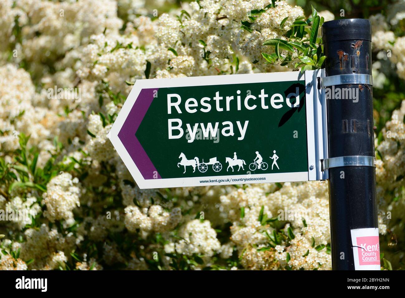 Loose Village, Kent, Großbritannien. Schilder mit Sperrweg, mit Frühlingsblüte. Wegrecht zu Fuß, zu Pferd oder ein Pferd zu führen, Radfahren und für jede V Stockfoto