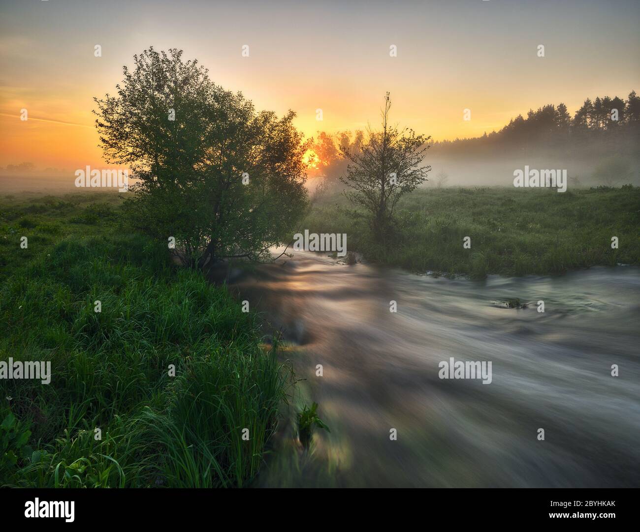 Morgennebel am Fluss Stockfoto