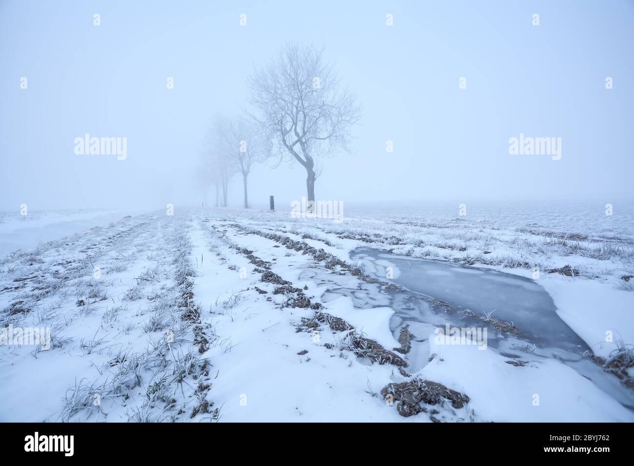 Neblig frostigen Blick am Morgen Stockfoto