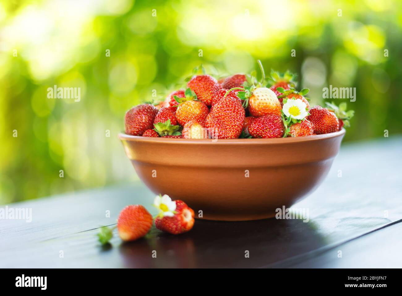 Natürliche Bio-Erdbeere aus eigenem Garten in Keramikschale. Sommertag auf dem Bauernhof. Landwirtschaftskonzept Stockfoto
