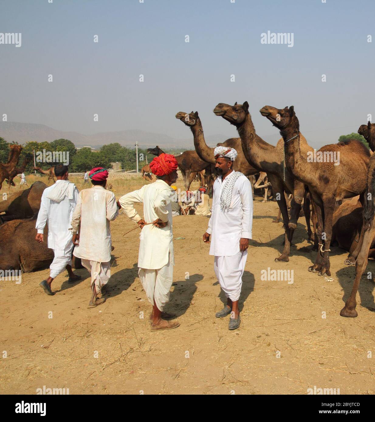 Pushkar Camel Fair - Verkäufer von Kamele während festival Stockfoto