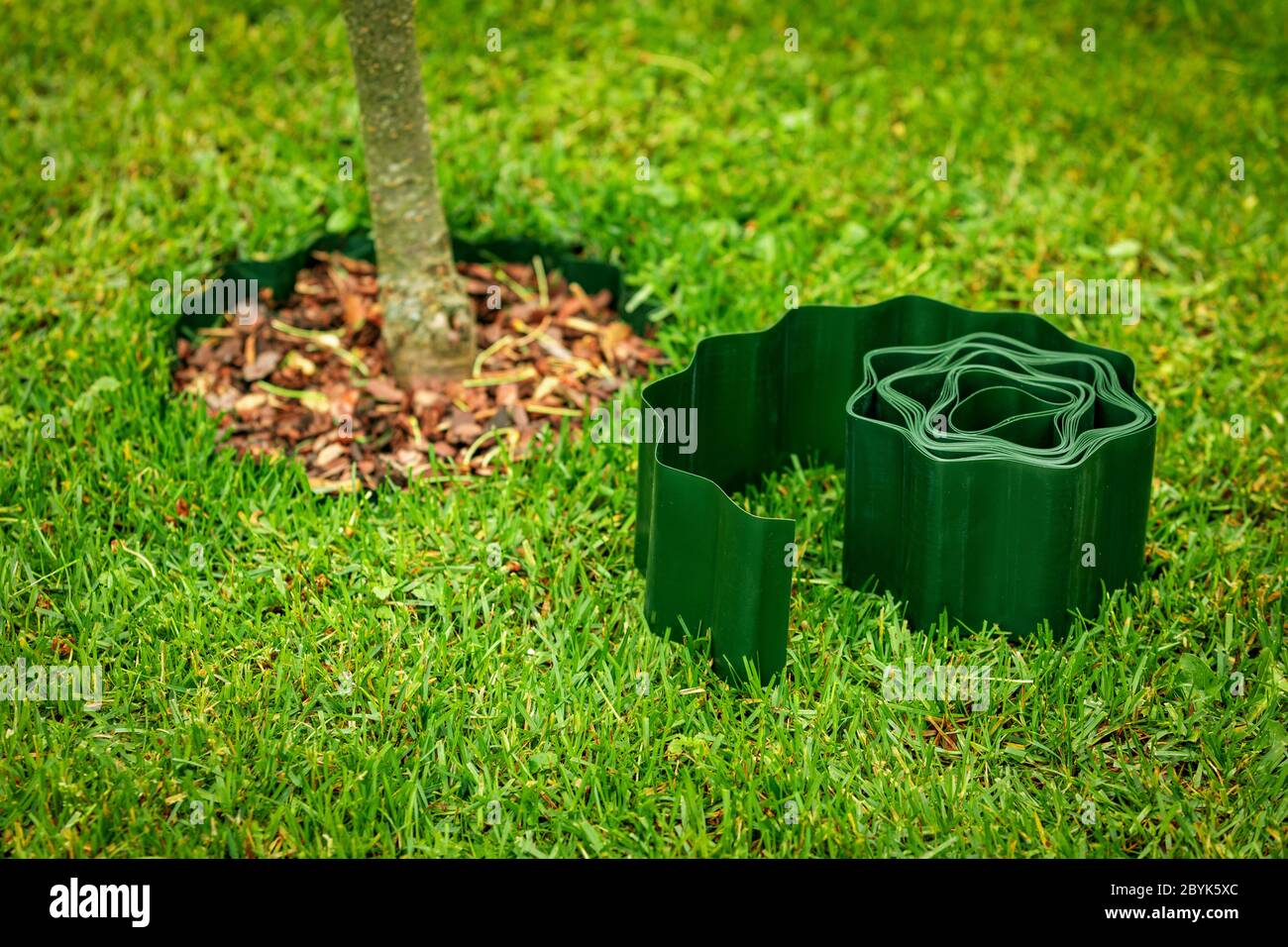 Grünes Kunststoff-Rasenkante Band für Blumenbeet und Baumkanten Stockfoto