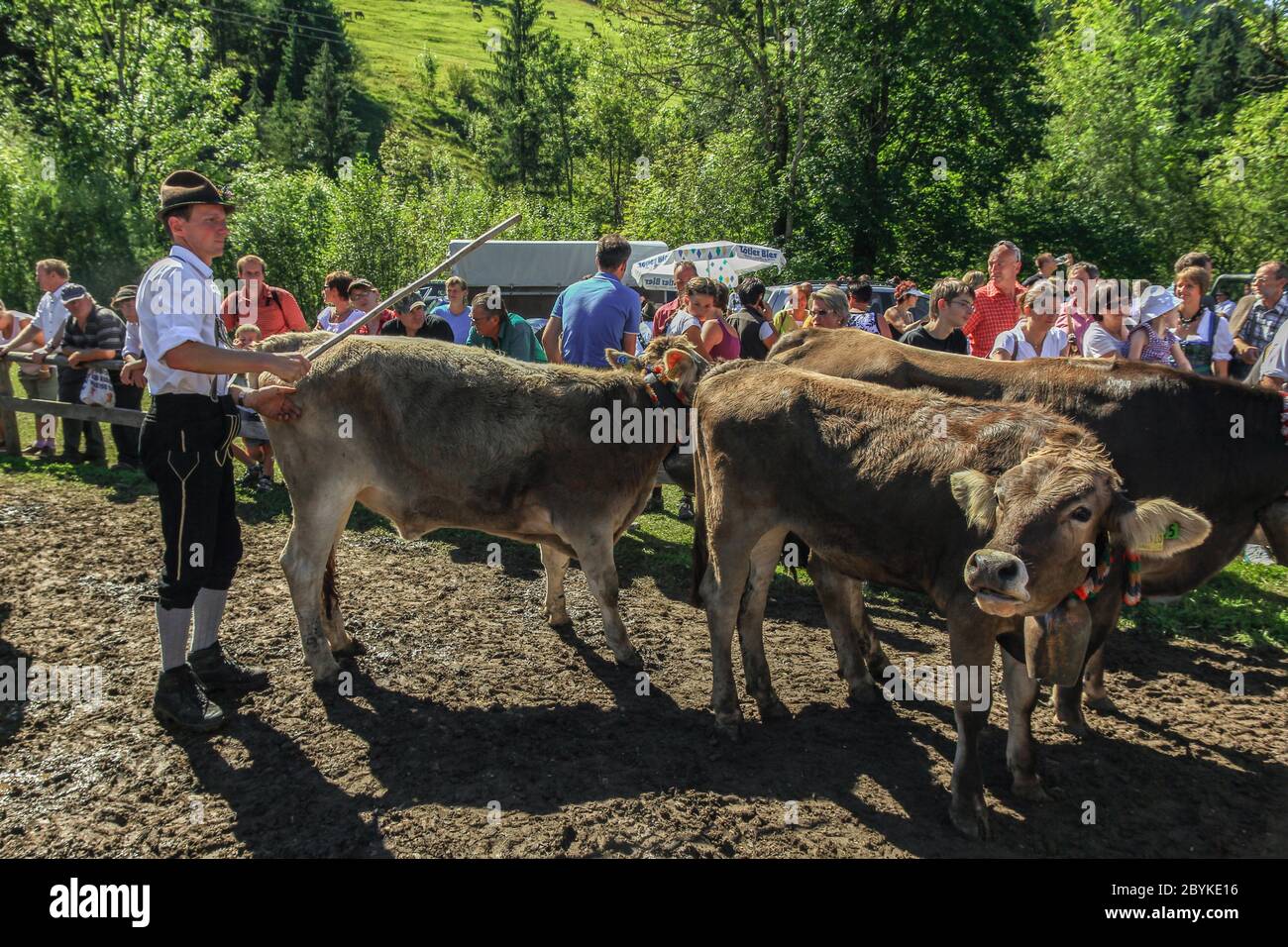 BAD HINDELANG, BAYERN, DEUTSCHLAND - SEPTEMBER 10 2011: Geschmückte Rinder- und Bergbauern beim traditionellen Almabtrieb, Viehscheid in Allgäu Stockfoto