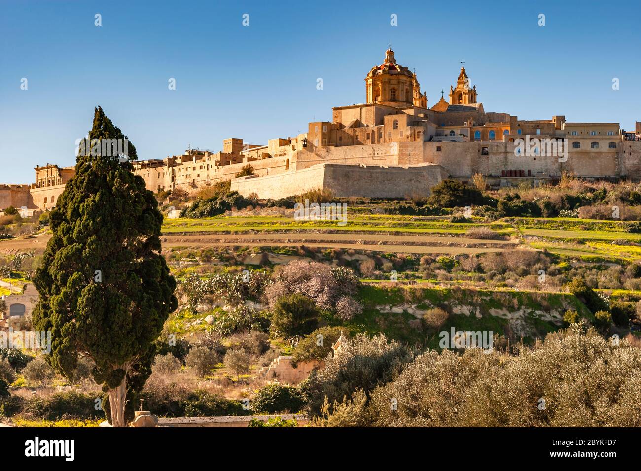 Die Altstadt von Mdina auf Malta erhebt sich mit ihrer barocken St.-Pauls-Kathedrale und dem Palazzo Falson über den Feldern der Insel. Der Legende nach ging der Apostel Paulus von Tarsus bei Malta Schiffbruch. Er überstand die raue Landung unversehrt und begann ohne viel Aufhebens die Christianisierung der Inselbewohner. Stockfoto