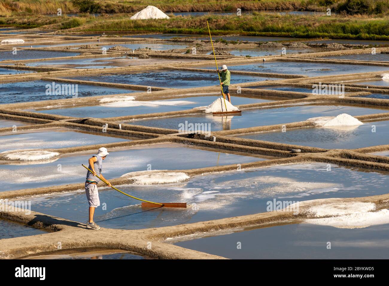 Meersalzproduktion in der Guerande bei Saint-Nazaire, Frankreich Stockfoto