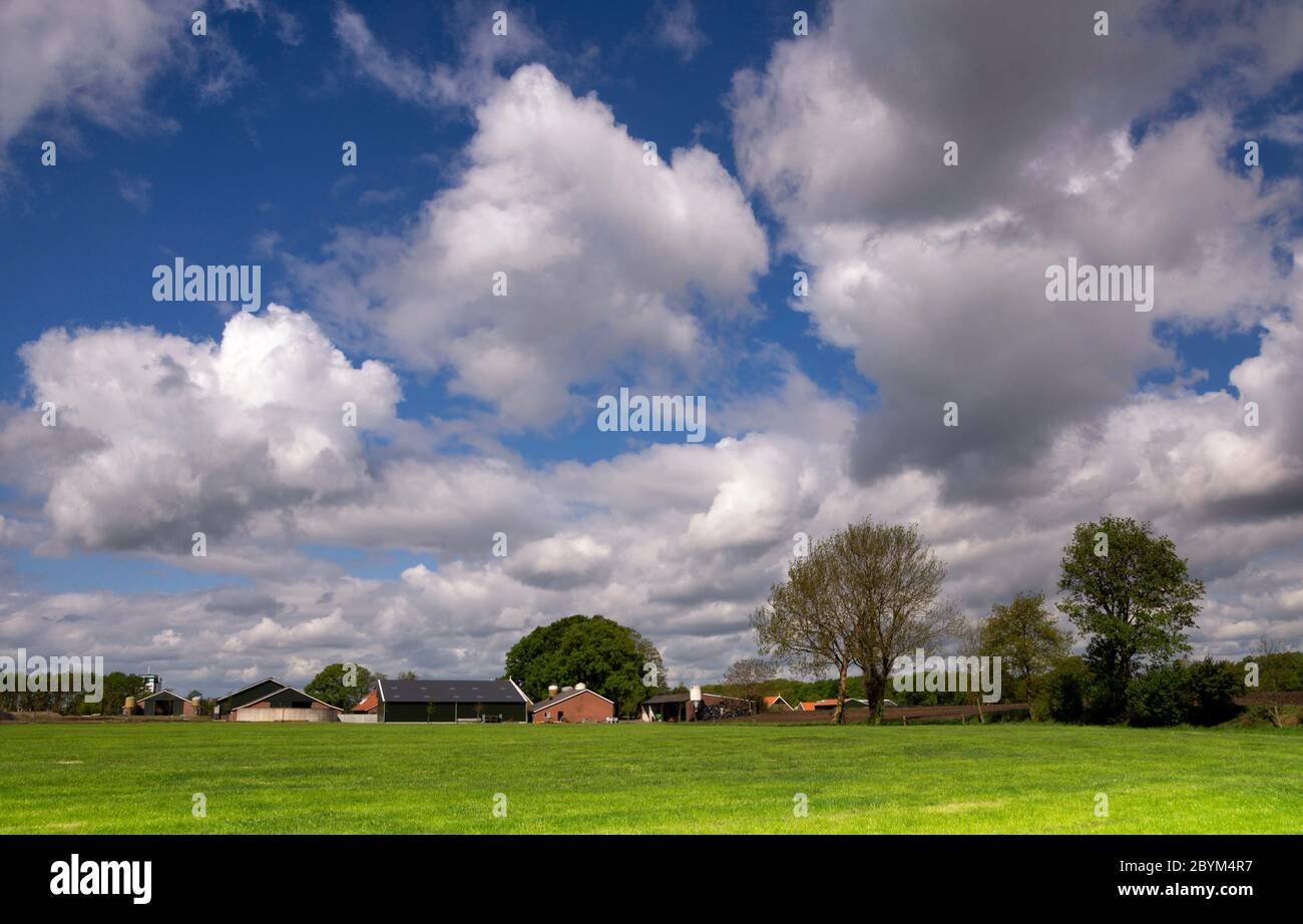 Landschaft in der Nähe von Bornerbroek Stockfoto