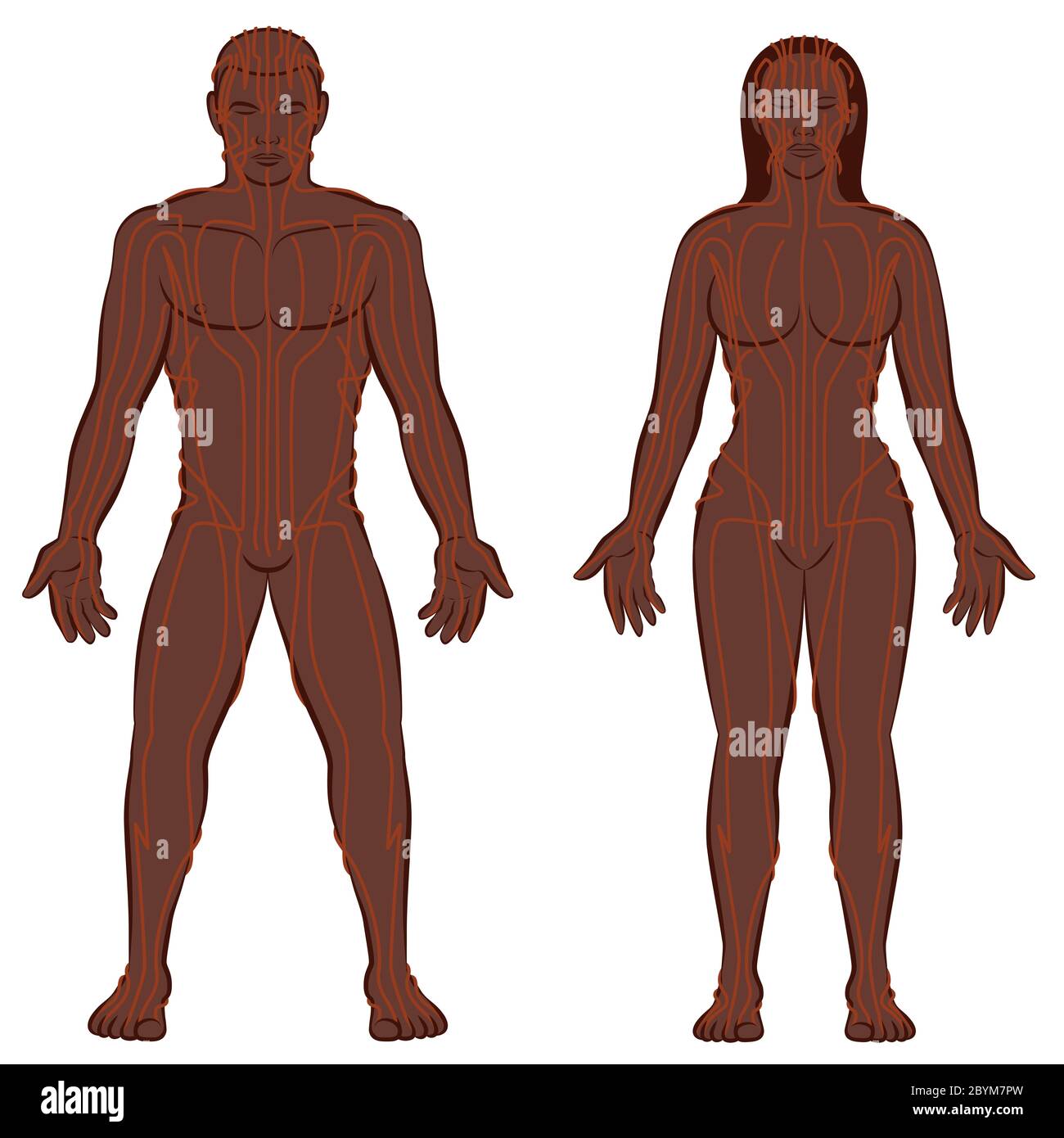 MERIDIAN SYSTEMKARTE, schwarzes Paar, männlicher und weiblicher Körper mit Meridianen, traditionelle chinesische Medizin - Abbildung auf weißem Hintergrund Stockfoto