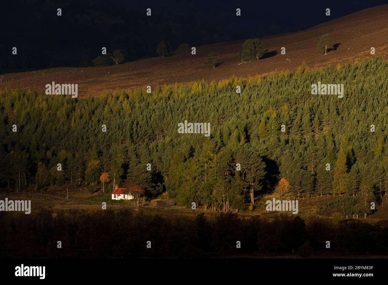 Braemar; Dee Valley View; Schottland; VEREINIGTES KÖNIGREICH Stockfoto